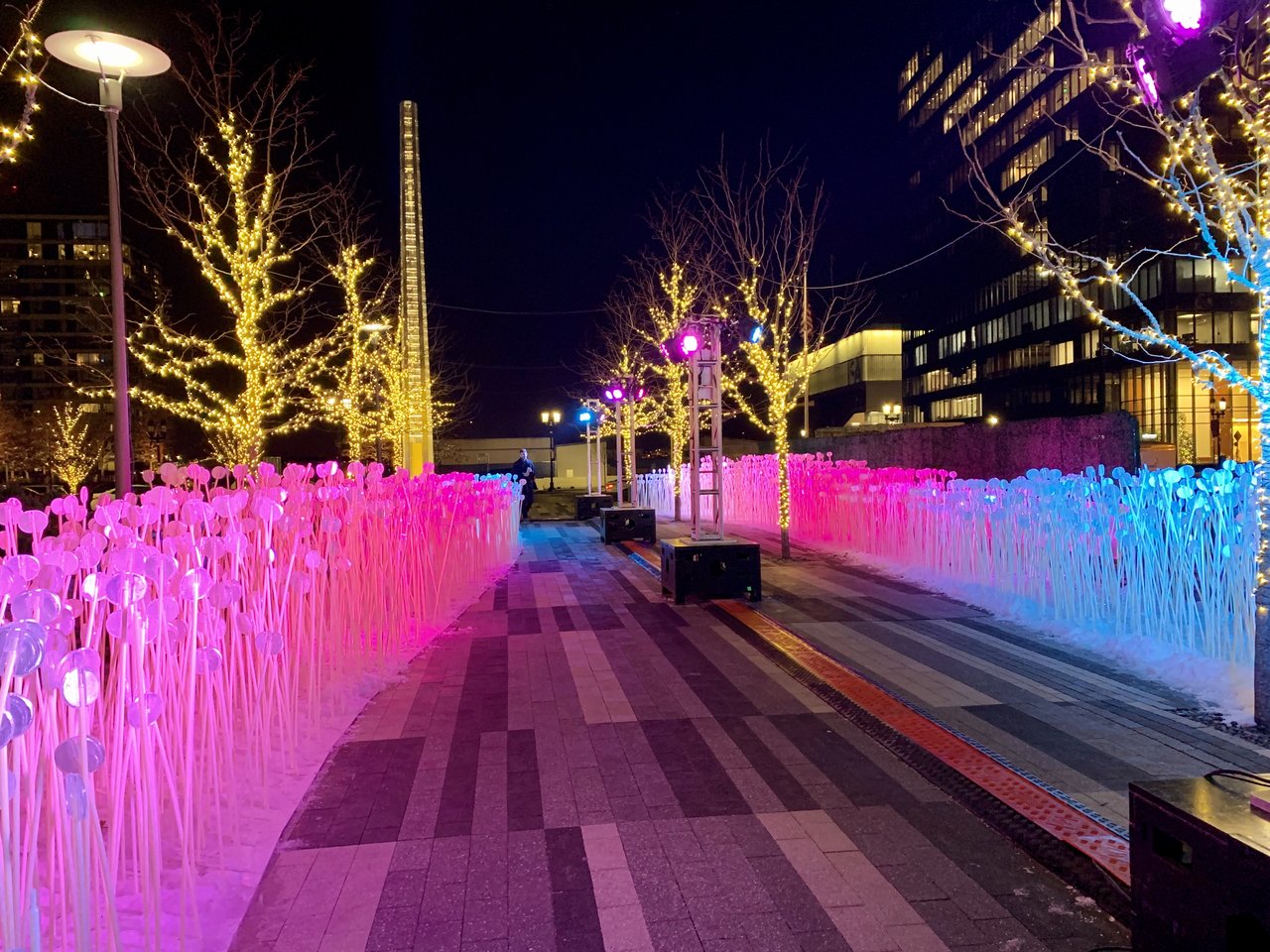 Entre les Rangs at Seaport Common